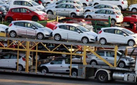 Gürcüstanın avtomobil idxalçıları çətin vəziyyətdədir