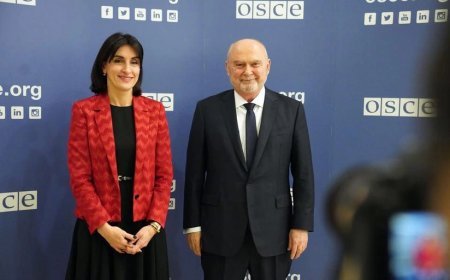 Boçorişvili ilə ATƏT-in Baş katibi regional təhlükəsizliyi müzakirə edib