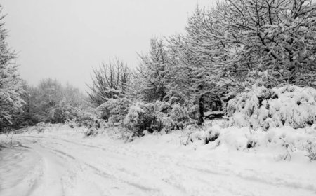 Nichbisi–Didgori yolunda qoşqulu nəqliyyatın hərəkəti məhdudlaşdırılıb