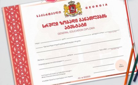 Marneuli 4 saylı məktəbin direktoru saxlanılıb