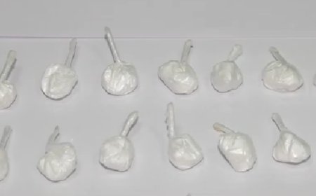 Türkiyə vətəndaşı Gürcüstana 21 bağlama kokain keçirmək istəyərkən tutulub