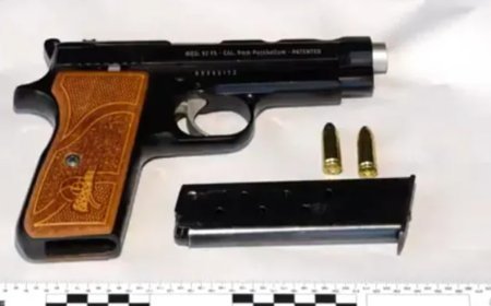 Qanunsuz silah və sursat müsadirə edilib – bir şəxs saxlanılıb