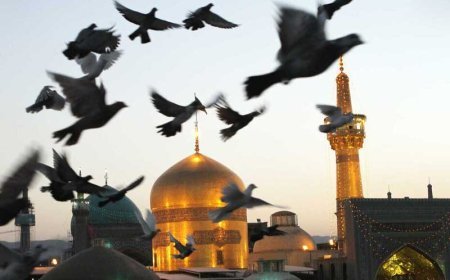 Həzrət Zəhra (s.ə) 12 İmamın nəzərində