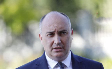 Gürcüstanın keçmiş müdafiə naziri həbsdə saxlanılıb