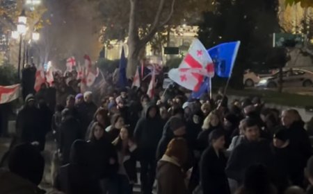 Gürcüstanda aksiyaların keçirilməsi qaydaları yenidən sərtləşdirilir