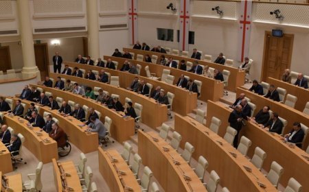 Parlament təhsil islahatı haqqında qanun layihəsini birinci oxunuşda qəbul edib