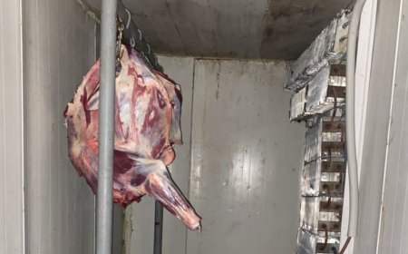 Qida üzrə Milli Agentlik paytaxt və bölgələrdə qanunsuz hevan kəsimi yerlərini aşkarlayıb