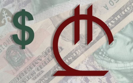 11 dekabr xarici valyutaların məzənnələri