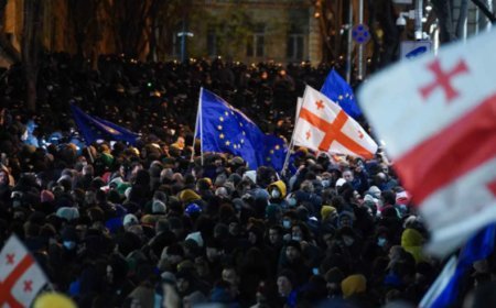 Gürcüstanda icazəsiz aksiyaya görə həbs cəzası tətbiq olunacaq