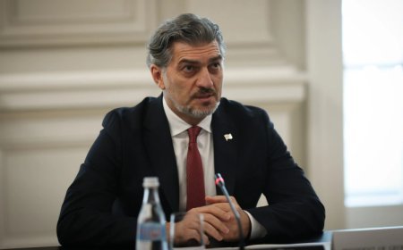 Gürcüstanı Ukraynanın vəziyyətində görmək istəyənlər var