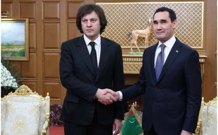 Gürcüstan və Türkmənistan tranzit sahəsində əməkdaşlığı aktivləşdirəcək