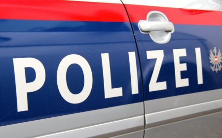 Avstriyada gürcü gənc  saxlanıldı