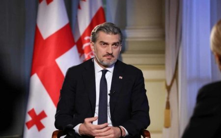 Gürcüstan Aİ-nin böhranına baxmayaraq, Avropanın bir hissəsi olmaq istəyir