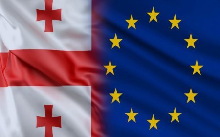 Aİ Gürcüstanın Avropa yoluna dönəcəyinə ümid edir