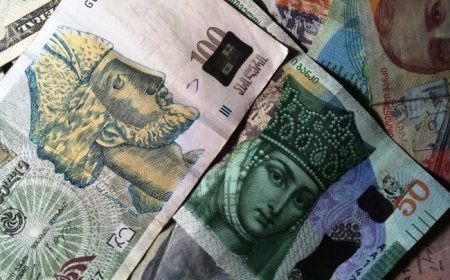 16 dekabr xarici valyutaların məzənnələri