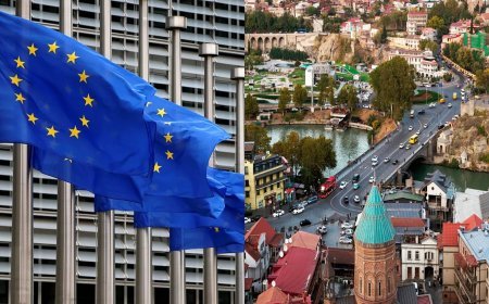 Gürcüstan-Aİ münasibətlərində irəliləyiş yoxdur