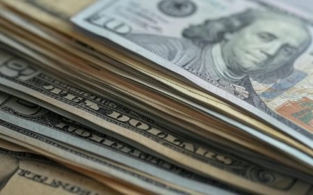 Gürcüstanın valyuta ehtiyatlarının 6 milyard ABŞ dollarını keçəcəyi gözlənilir