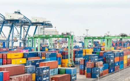 Gürcüstanın xarici ticarət dövriyyəsi kəskin artıb