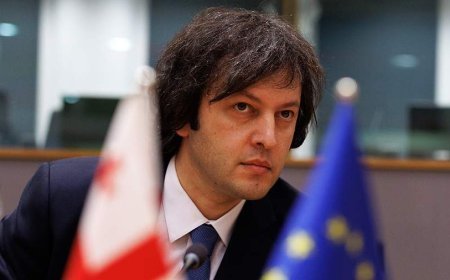 Kobaxidze NATO-nun “açıq qapı” siyasətini "fars" adlandırıb