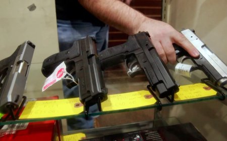 Parlament “Silah haqqında” qanuna dəyişikliklər qəbul edib