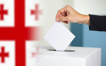 Gürcüstan vətəndaşlarının xaricdə səs vermələri qadağan edildi