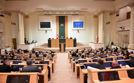 Gürcüstan parlamenti iki dövlət qurumunun ləğvini dəstəkləyib