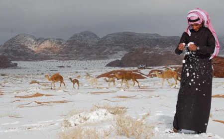 Səudiyyə Ərəbistanına qar yağdı- Video