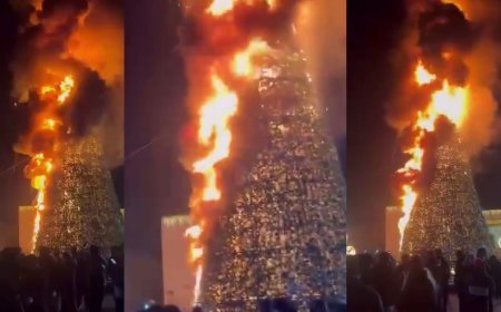 Qardabanidə bayram münasibətilə yandırılan şam ağacı alovlanıb