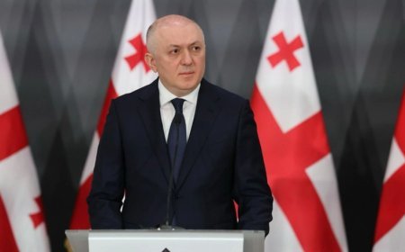 Gürcüstan DTX-nın keçmiş rəisi həbs olunub