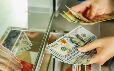 24 dekabr xarici valyutaların məzənnələri