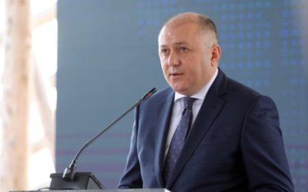 Gürcüstan DTX-nın sabiq rəisinin əmlakları müsadirə olunub