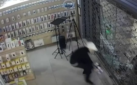 Tbilisidə texnika mağazası qarət edilib-Video