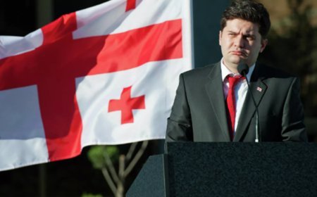 Gürcüstanın keçmiş müdafiə naziri Baço Axalaya saxlanılıb