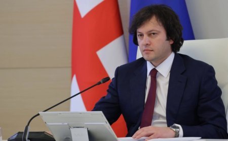 Gürcüstanla münasibətlərin yaxşılaşdırılması Aİ-yə faydalıdır