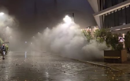 Orbeliani küçəsində park edilmiş avtomobil yanıb-Video