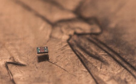 Dünyanın ən kiçik avtonom robotları yaradıldı