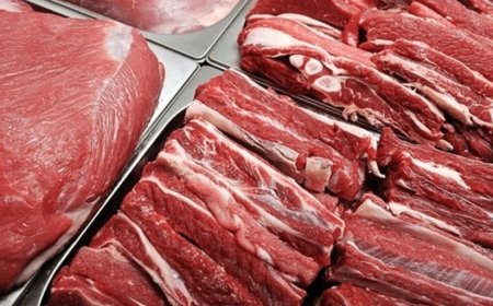 Saxta sənədə görə DTX Qida Təhlükəsizliyi Agentliyinin əməkdaşı saxladı