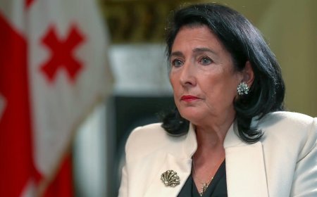 Zurabişvili məsuliyyətə cəlb olunmalıdır