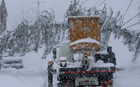 Əlverişsiz hava şəraiti elektrik ötürücü xətlərini zədələyib