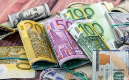 31 dekabr xarici valyutaların məzənnələri