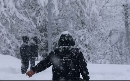 Tskaltubonun bir hissəsi qazsız, susuz və işıqsız qalıb