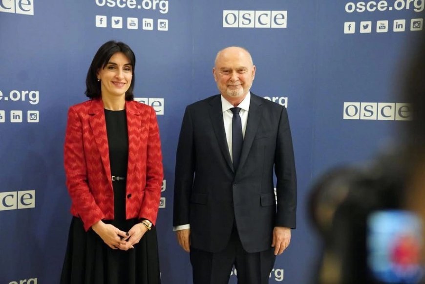 Boçorişvili ilə ATƏT-in Baş katibi regional təhlükəsizliyi müzakirə edib