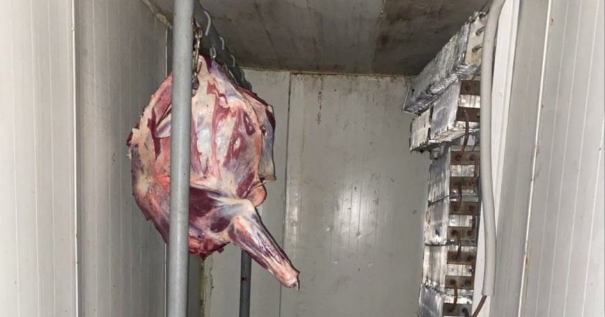 Qida üzrə Milli Agentlik paytaxt və bölgələrdə qanunsuz hevan kəsimi yerlərini aşkarlayıb