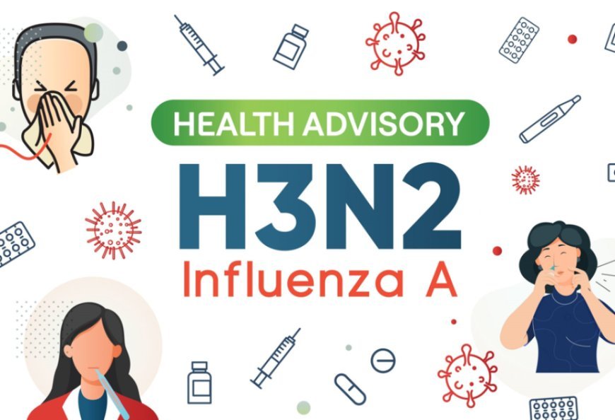 Gürcüstanda qripə qarşı peyvəndləmə davam edir