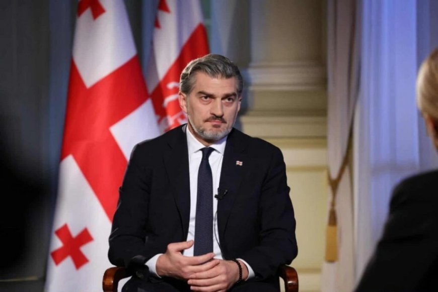 Gürcüstan Aİ-nin böhranına baxmayaraq, Avropanın bir hissəsi olmaq istəyir