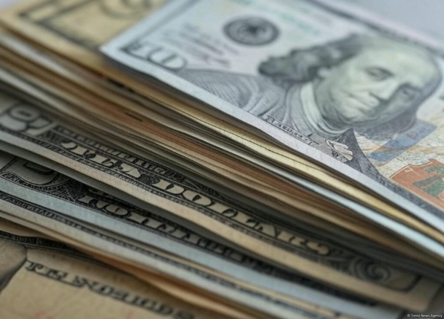 Gürcüstanın valyuta ehtiyatlarının 6 milyard ABŞ dollarını keçəcəyi gözlənilir