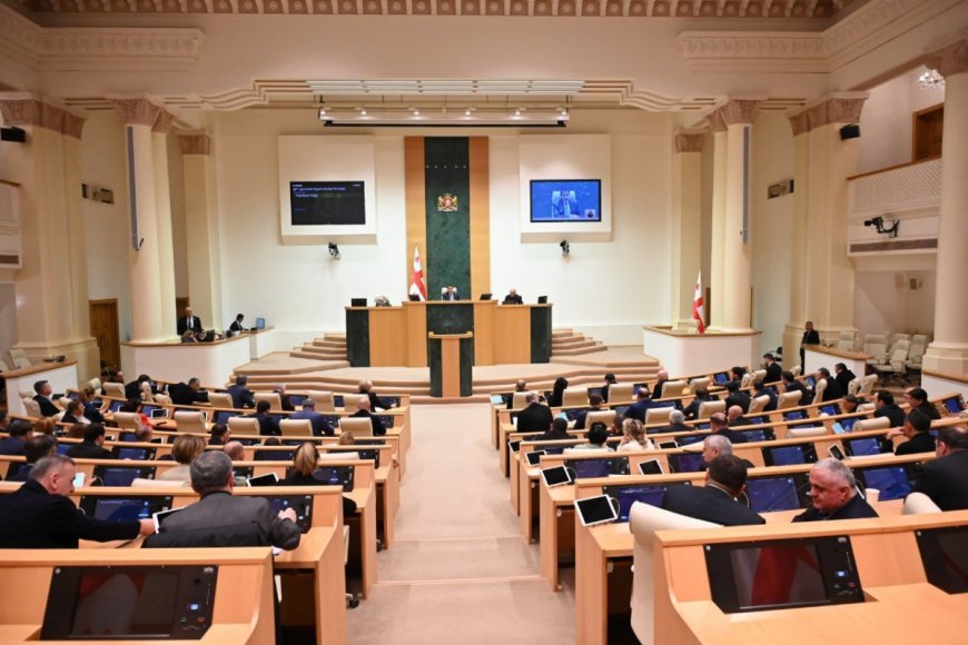 Gürcüstan parlamenti iki dövlət qurumunun ləğvini dəstəkləyib