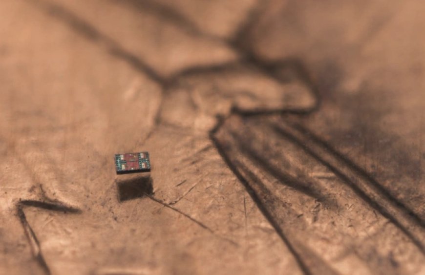 Dünyanın ən kiçik avtonom robotları yaradıldı