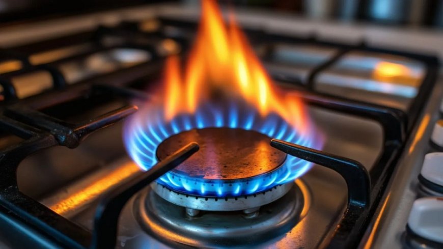 Gürcüstanda qazın qiyməti dəyişməyəcək