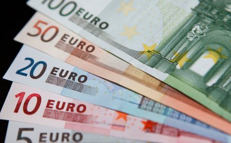 Daha bir ölkə avroya keçdi